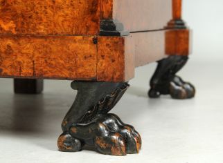 Paw feet